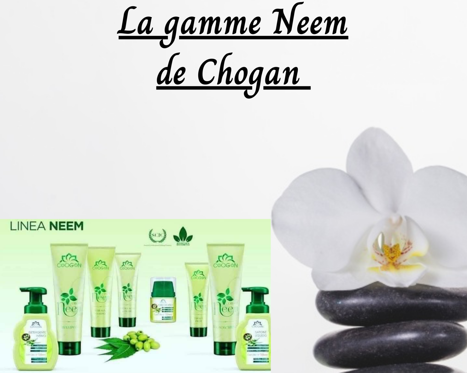 Gamme Neem - Soulage les peaux réactives et sensibles - Chogan-byme